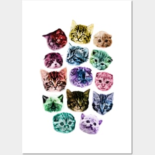 cats Posters and Art